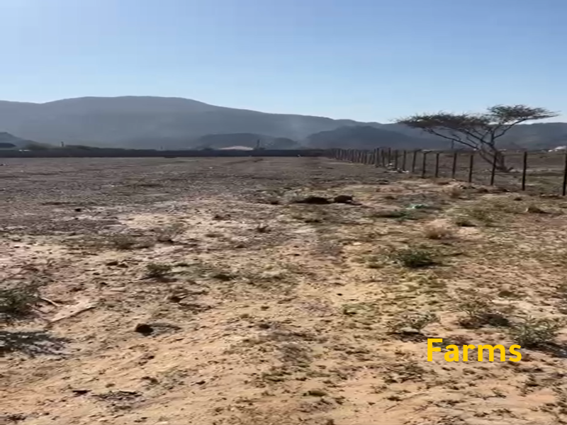 مزرعة للايجار فى راس الخيمة مساحة 168 الف قدم